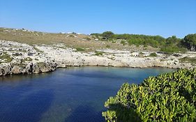 B&B Il Palombaro